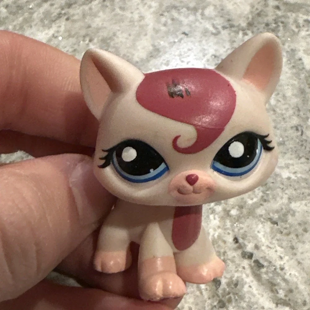 LPS #1679 LITTLEST PETSHOP ORIGINAL CHAT CAT AUTHENTIQUE MAINE COON HASBRO